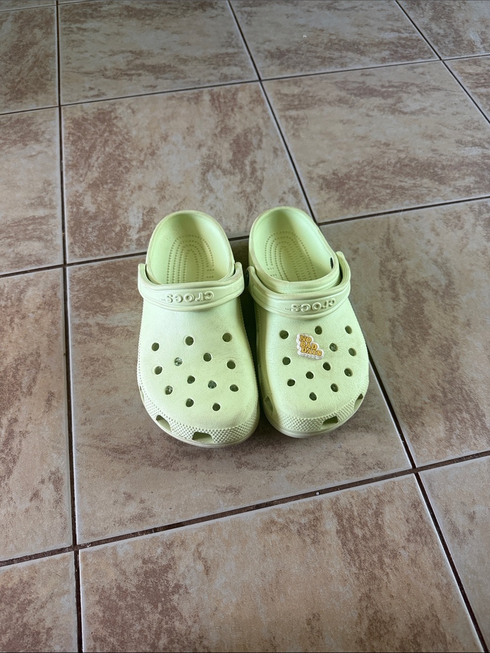 CROCS Classic Clog in Pale Mint Green
